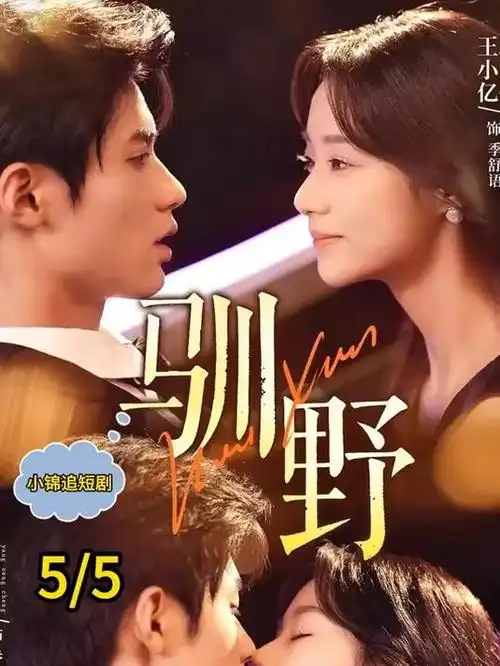 片种图鉴封面：电视剧类别示意画面